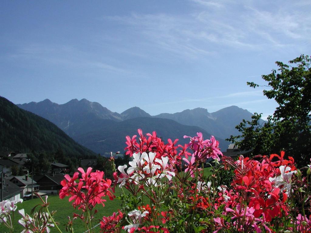 Gasthof Lechner Rasun di Sopra Oda fotoğraf